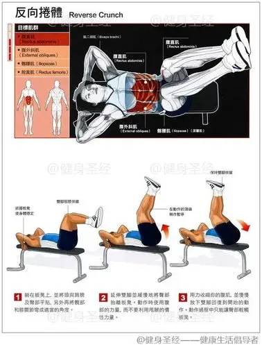 反向卷腹,reverse crunch