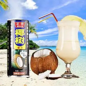 椰树椰汁310ml