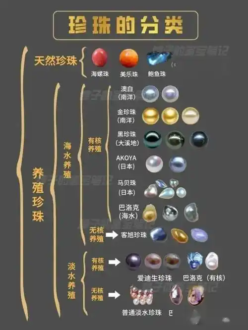 一张图了解珍珠分类