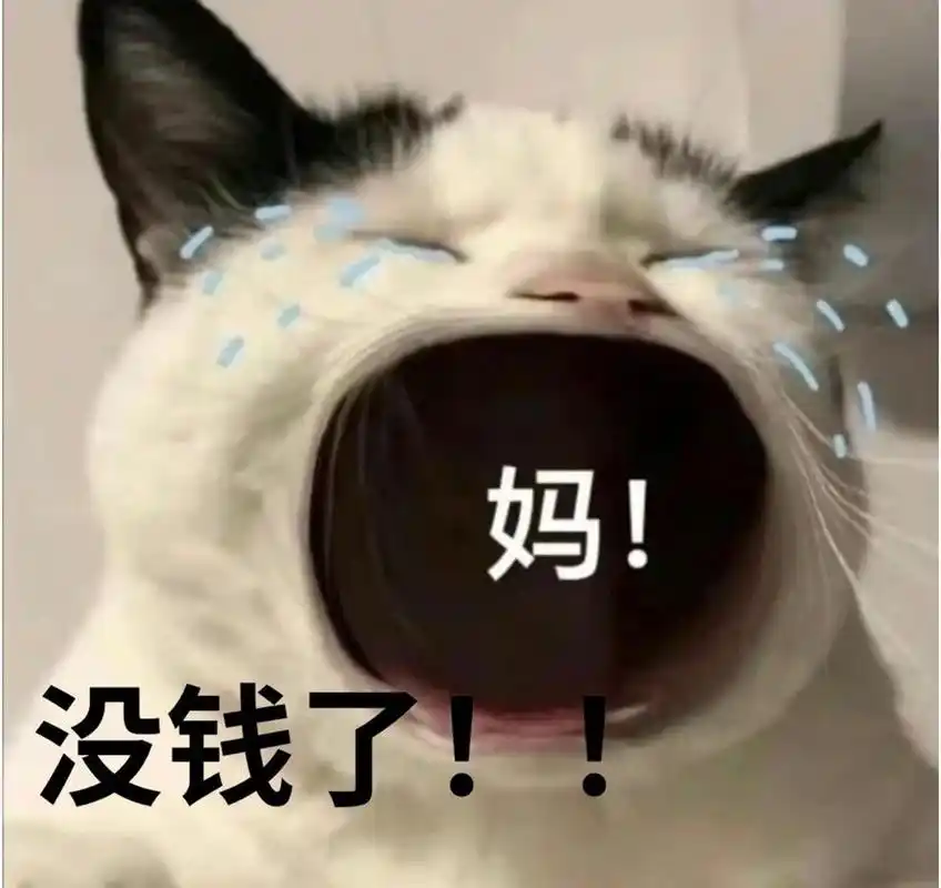 要生活费 表情包 找父母要钱表情包