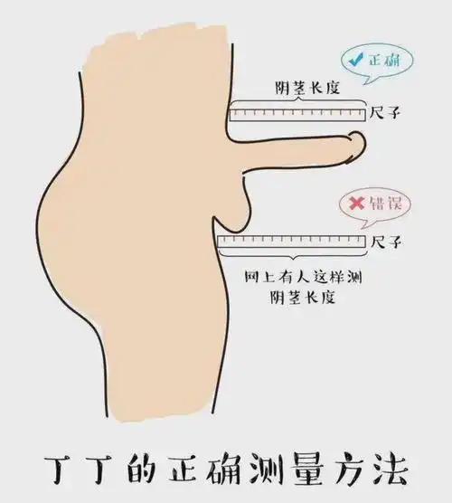 丁丁一般发育到几岁