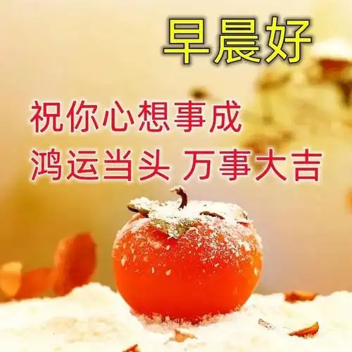 最新出的早上好问候祝福语 早上好的最佳图片 早上好最新漂亮图片