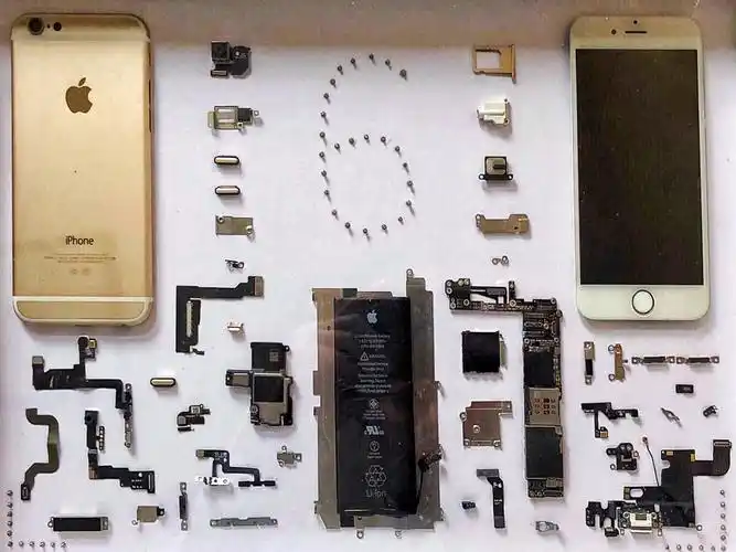 苹果手机6解剖图