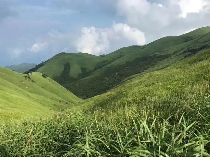 盛夏的高山草甸-武功山 - 美篇