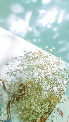 干净 温柔#背景图 - 简书