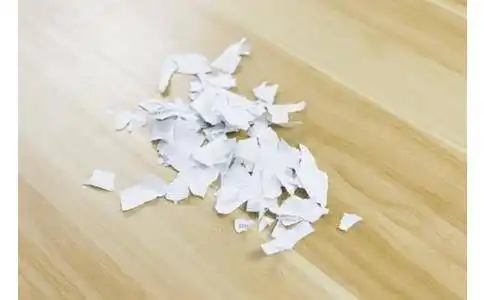 碎纸屑 属于 其他垃圾