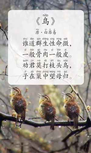 宝贝课堂(四十六)——中班四月第三周周二游戏内容