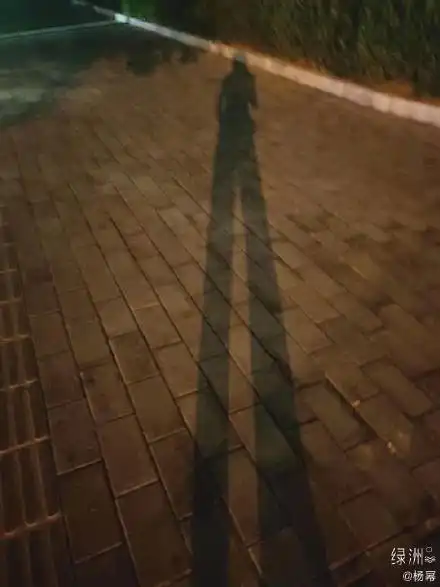 杨幂晒长腿影子照 网友:这腿分我一半可以吗?