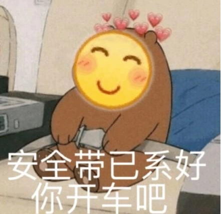 安全带已系好你开车吧表情包大全
