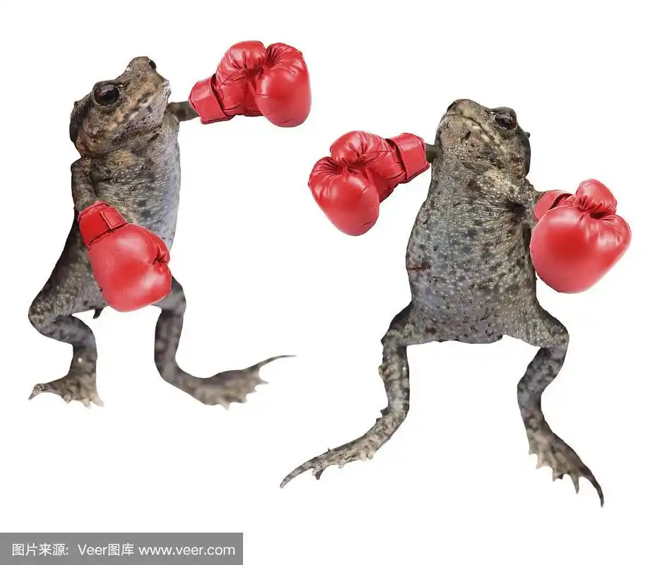拳击青蛙