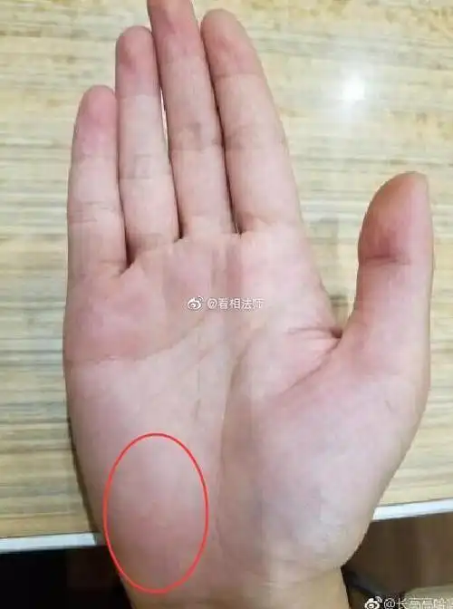 你手上的事业线起于月丘,且清晰深长,事业. 来自煮酒话流年 - 微博