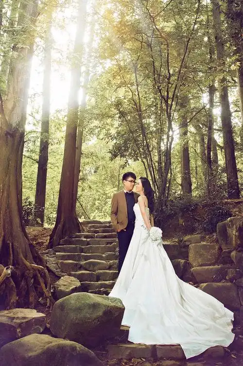 丛林主题风格婚纱照图片大全 唯美森林系热带雨林婚纱照样片欣赏