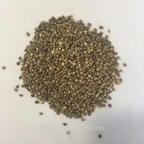 亚洲有机 hulled 大麻种子去壳大麻种子