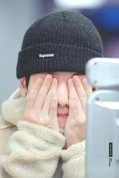 exo粉丝为何变亲妈粉边伯贤散发小奶狗气息金钟大是乖巧喵咪