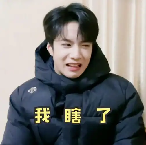 刘耀文表情包##刘耀文唱跳ace