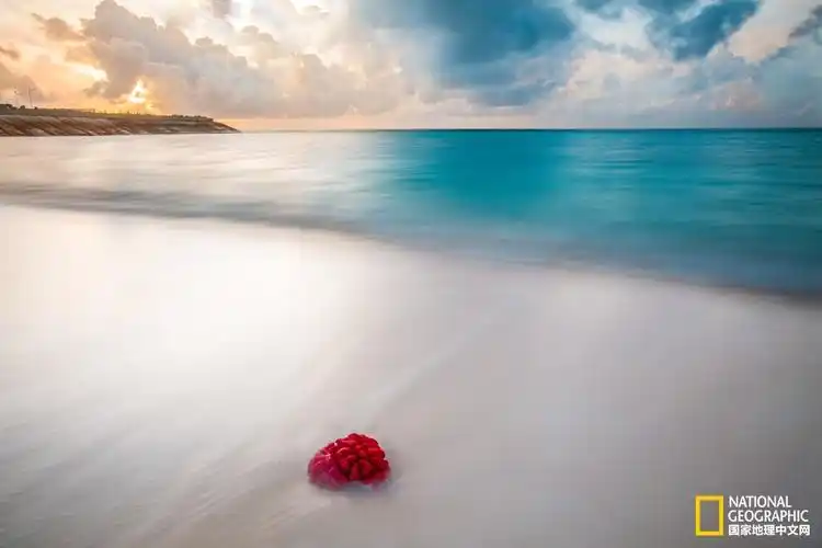 别出国看海了,说咱南海是全球最美的大海一点都不为过!pic