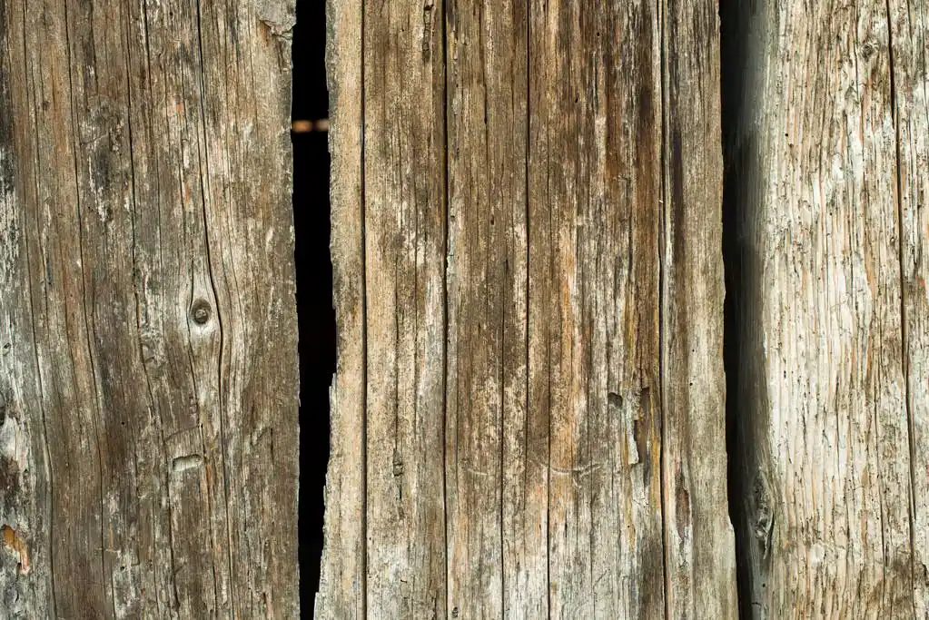 老黑木板,老腐烂的黑木板