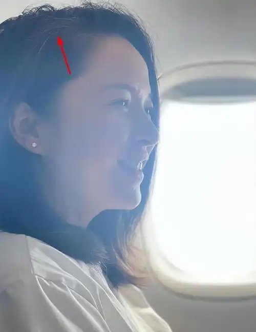 靳东老婆晒近照,45岁李佳素颜出镜像55岁,满头白发超抢镜