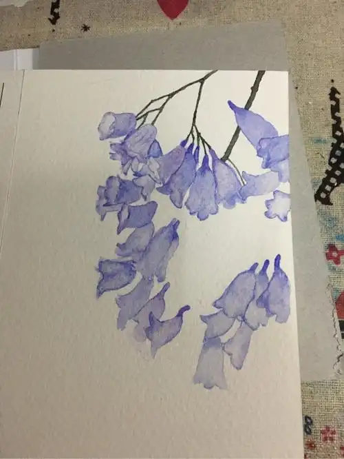 水彩| 画一束蓝花楹,一种浪漫又美丽的花 - 简书