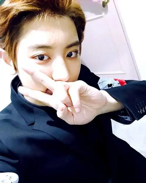 一生一个梦,唯爱美男朴灿烈