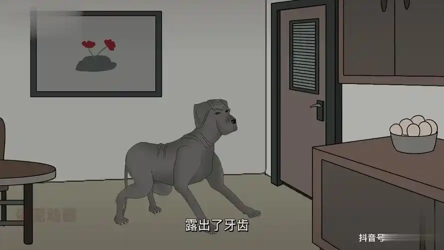 美国911电话报警事件:"它在对着我微笑",蛋泥动画.