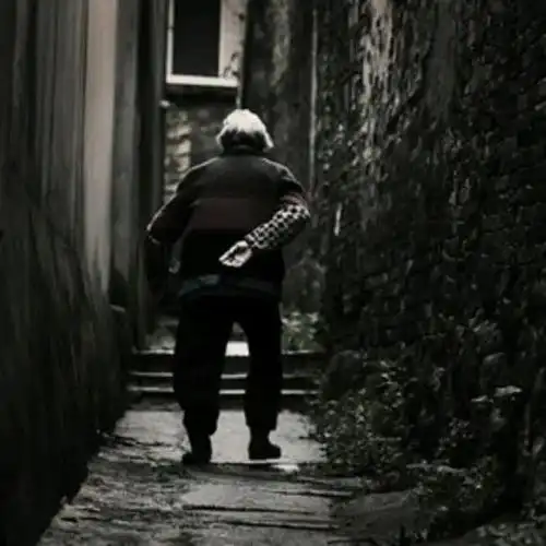 妈妈的背影(原创)