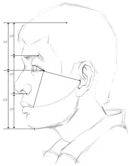 素描中人物头部比例怎么画?画五官应该注意什么?快来学习