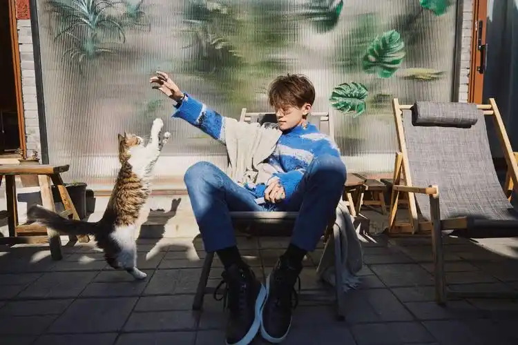 易烊千玺晒新年写真穿蓝色毛衣抱着猫咪治愈系男孩好帅
