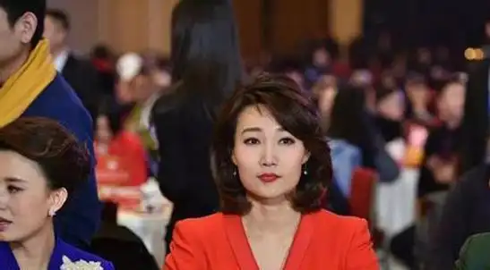 年过40仍然单身未婚的央视女主播们照样活出了精彩美丽的人生