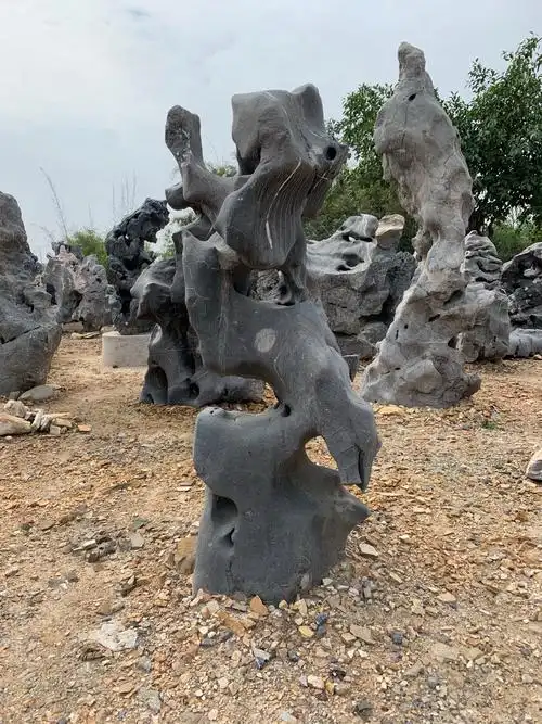 景观石太湖石庭院太湖石摆件别墅太湖石造景石独石太湖石