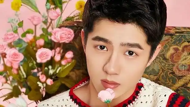 刘昊然国庆为巴黎世家走秀公然挑战民族大义粉丝洗白毫无底线