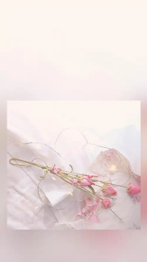 最新少女粉主题唯美手机壁纸大全 众生皆苦而我是草莓味的-背景皮肤