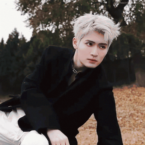 力丸生日特别刊