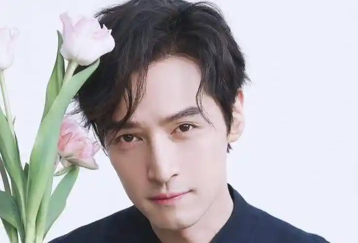 就三庭来说,胡歌的三庭五眼比例基本标准标准,但是他的鼻子高挺,所以