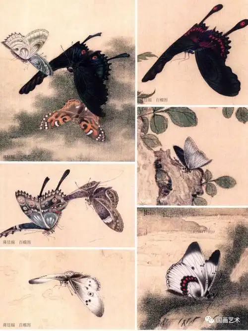 百蝶图  清 蒋延锡觉得不错,请在右下方点"在看"来自:戈壁的红柳>