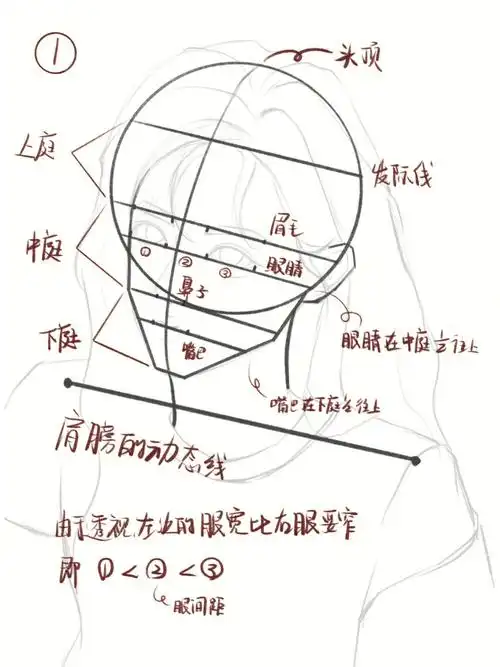 半侧人物线稿起型全过程零基础附原图