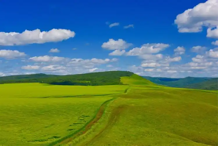 呼伦贝尔大草原的深处有一个美丽迷人的地方