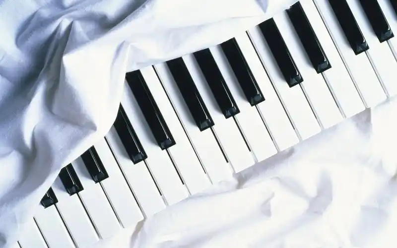 娱乐音乐钢琴颜色白色黑色乐器pianowhiteblackmusicalinstrument壁纸