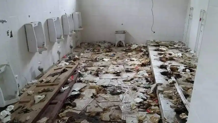 微友吐槽隔着屏幕都觉得臭公厕无人打扫臭气熏天