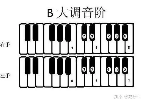 钢琴音阶的指法规律是什么?