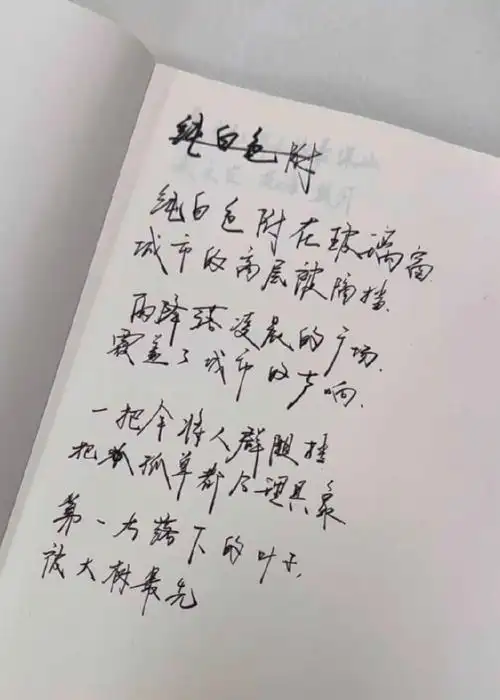 王源剧组练字手写歌词