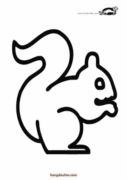 蜗牛小狗考拉小鱼蝴蝶小鸡卡通简笔画