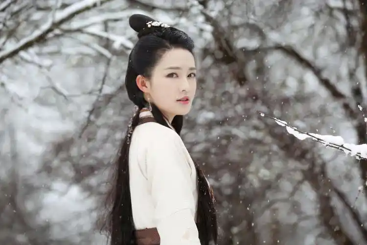 李沁狼殿下雪中剧照图片