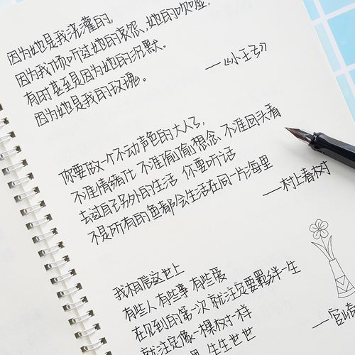 热销奶酪陷阱_小小手写字帖奶酪体女生漂亮练字帖学生楷书抖音网红