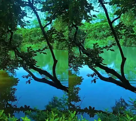 【交叉3d】【裸眼3d】斗鸡眼沉浸式观看湿地景色2