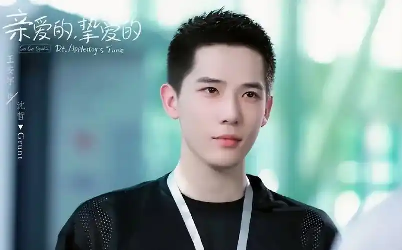 除了外表出众,王安宇在学校的时候是一个学霸,还写得一手好字,都说字