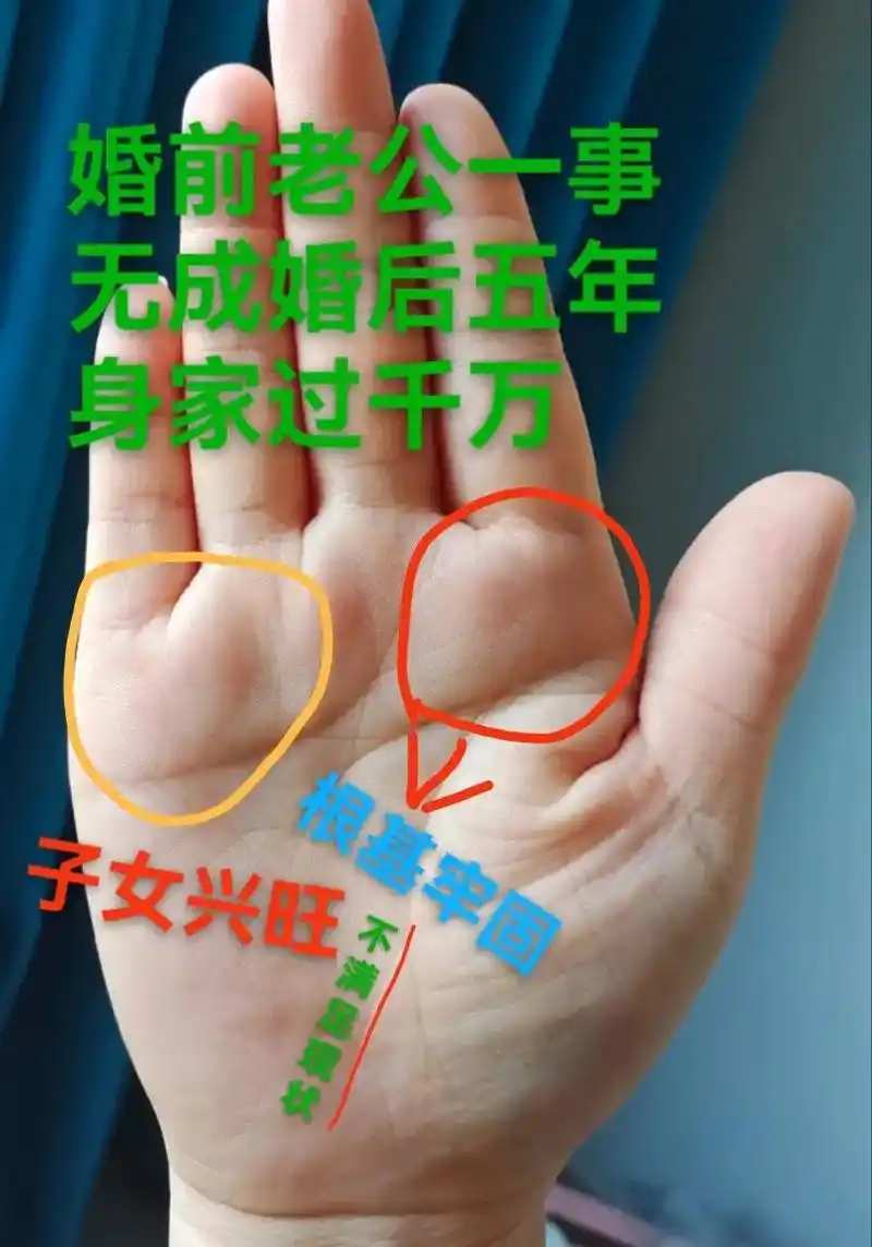 我的抖音生活日记 #掌纹的秘密 #婚姻 #旺夫女人 #暴富 - 抖音