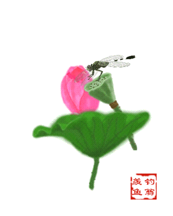 蜻蜓小蟹 蜻蜓荷花