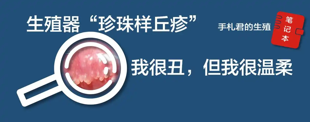 尖尖是什么病龟头上面白色颗粒图片