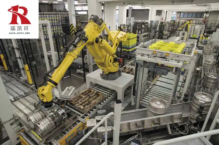 安徽瑞凯祥智能装备有限公司